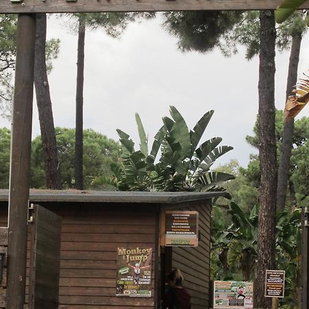Apartamento En Los Patios De Santa Maria Golf マルベーリャ エクステリア 写真
